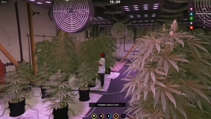 Advanced Drugs System V4 [ESX]